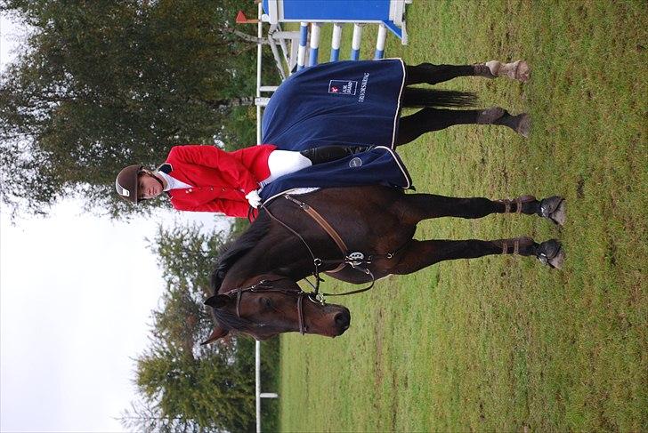 Hannoveraner Carlos/Check In - Distriktsstævne Skåde sep. 2010 - LA** 2. plads billede 12