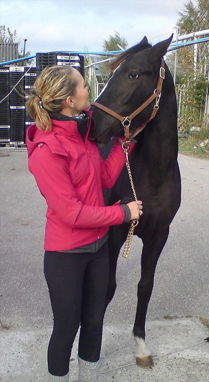 Anden særlig race Tayfun - Er det mig du snakker til? Ha ha billede 10