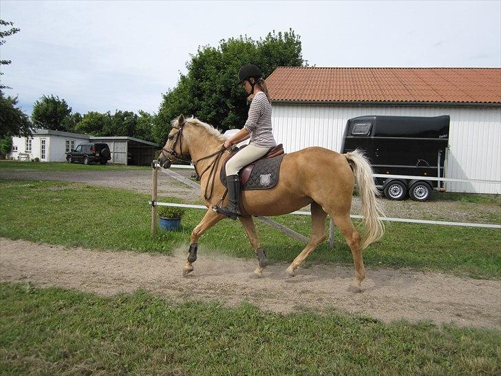 Anden særlig race Rain - Lige en tur på banen (;  (Foto: Laura) billede 2