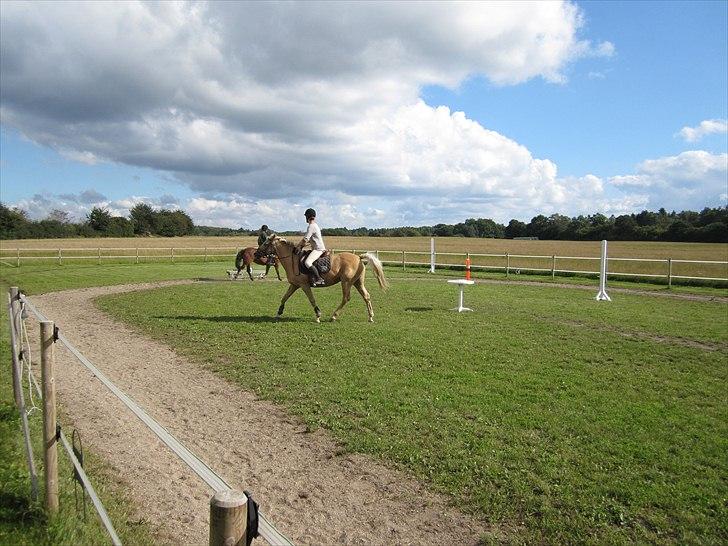 Anden særlig race Rain - Ponygames ;P   (Foto: Laura´s far, tror jeg.. ;])  billede 4