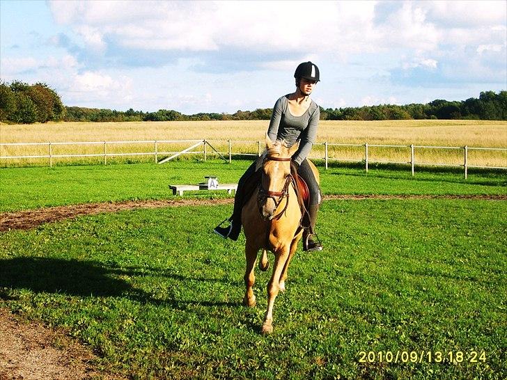Anden særlig race Rain - Du dejlig :´)  <3   (Foto: min far) billede 6