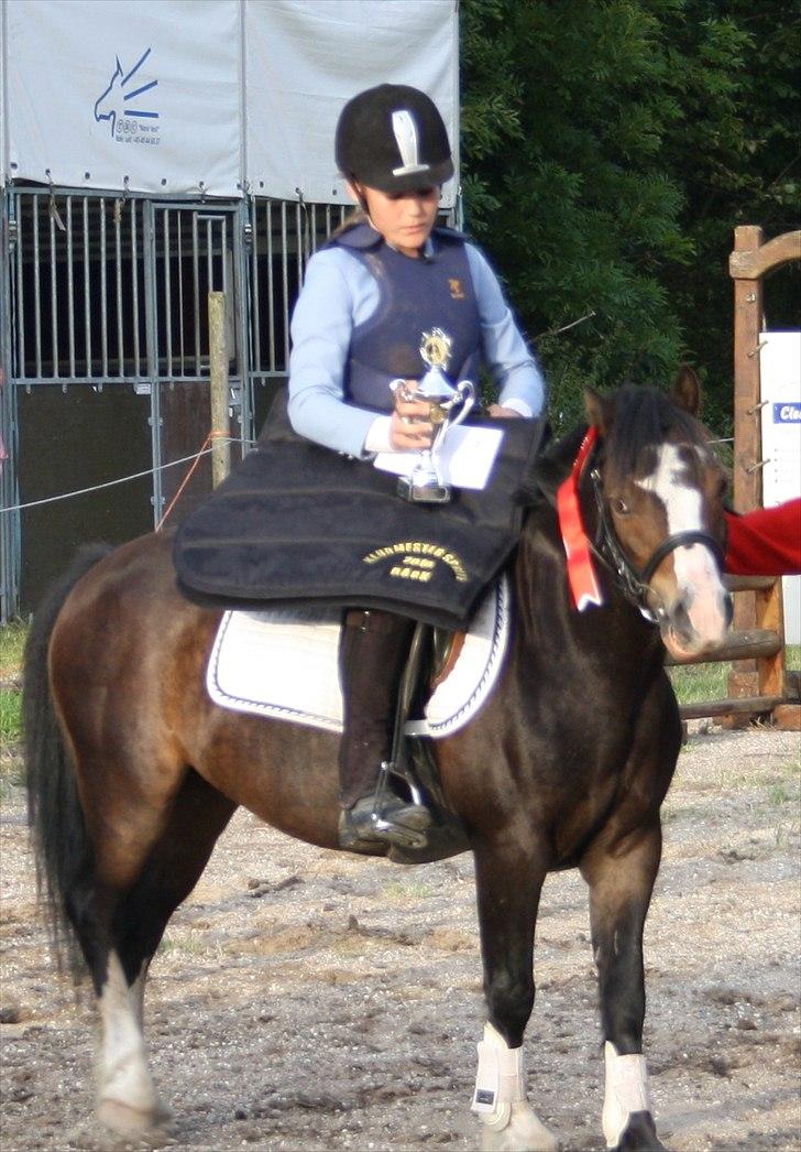 Anden særlig race Impuls Langebæk  billede 2