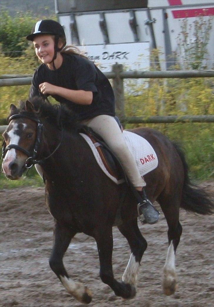 Anden særlig race Impuls Langebæk  billede 17