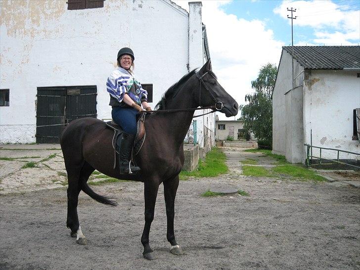 Polsk Ædelt Halvblod Kalisia - Bielin 2007 billede 12