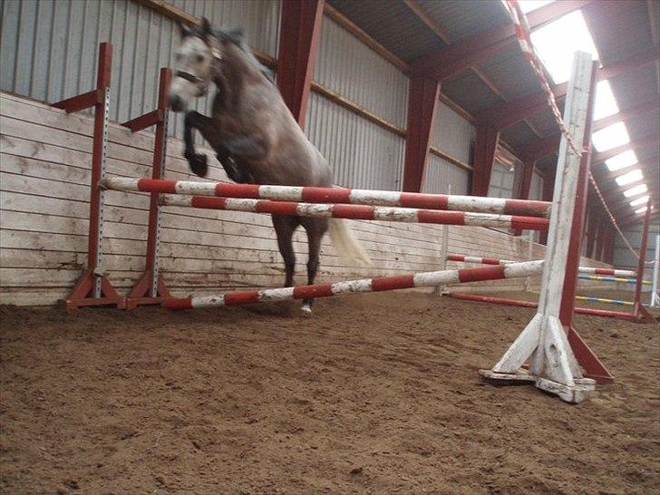 Connemara Haahr´s w´Air  - taget af: Laura J billede 2