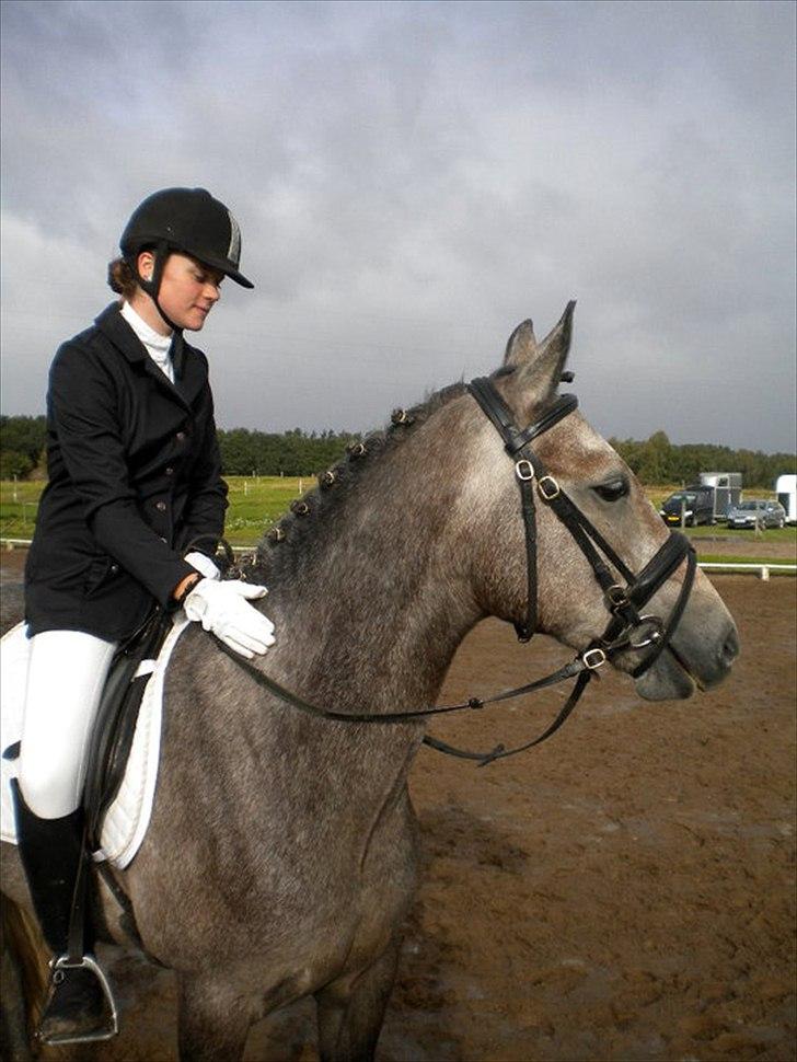 Connemara Haahr´s w´Air  - taget af: Laura J billede 4