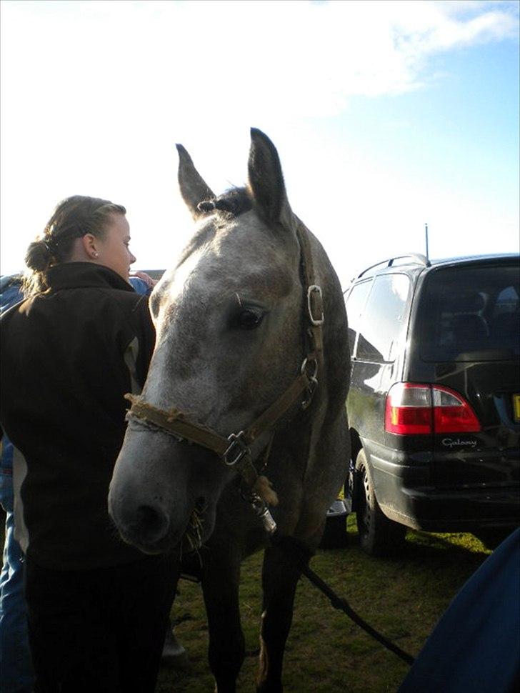 Connemara Haahr´s w´Air  - taget af: Laura J billede 5