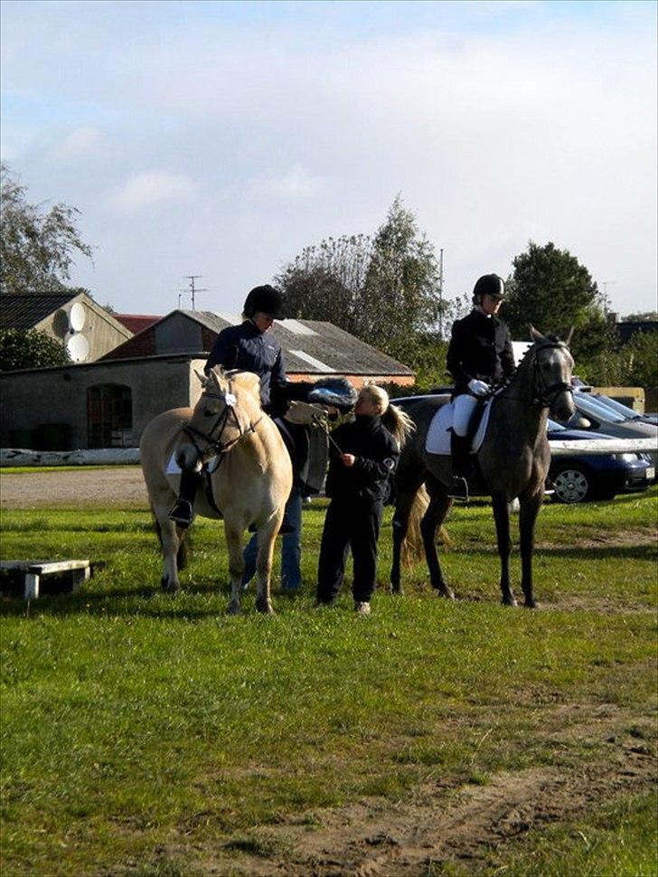 Connemara Haahr´s w´Air  - taget af: Laura J billede 6