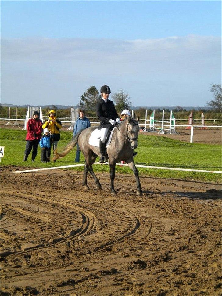 Connemara Haahr´s w´Air  - taget af: Laura J billede 8