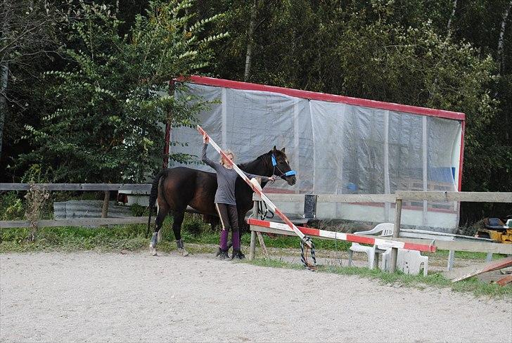 Anden særlig race Beauty  - Vi lukker og slukker - farvel! :D billede 20