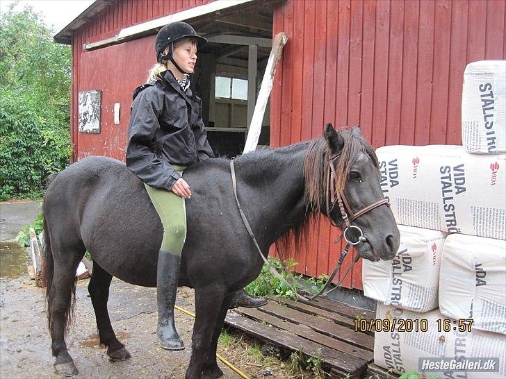 Anden særlig race Hugo *part* - trætte mig og hugo  :D efter en hyggelig tur i regnvejr billede 3