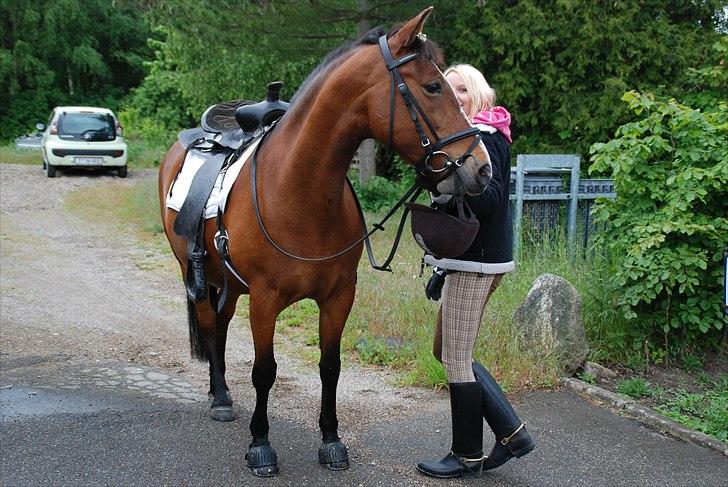 Anden særlig race Bakkelygård's Flicka <3 - Konfirmation. Flotte Fliik ;)
240509 billede 8