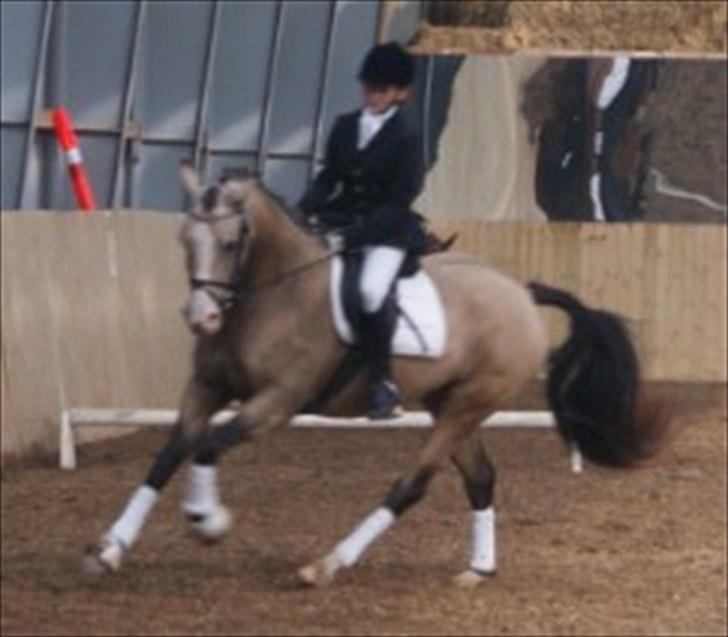 DSP Luna - Stævne. billede 14