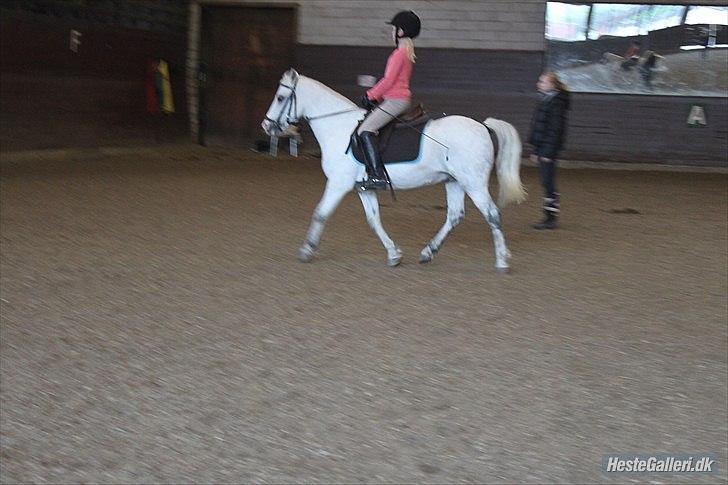 Anden særlig race ivan billede 9