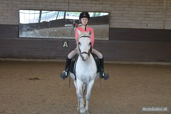 Anden særlig race ivan billede 12