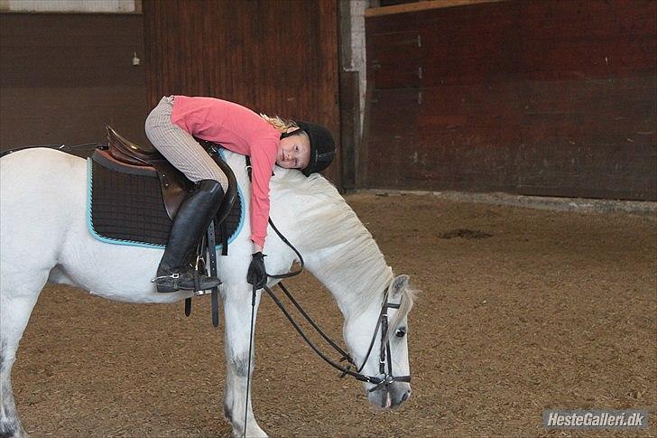 Anden særlig race ivan billede 15