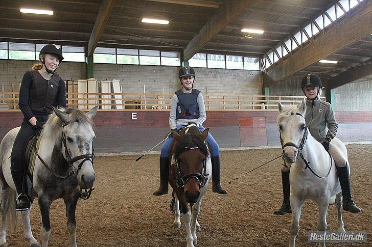 Anden særlig race ivan billede 19