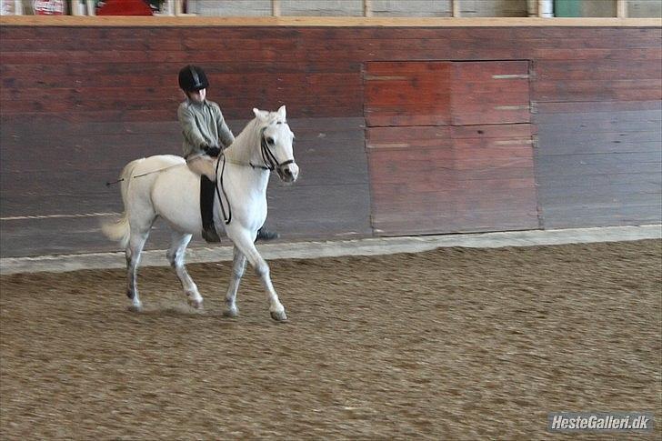 Anden særlig race ivan billede 20