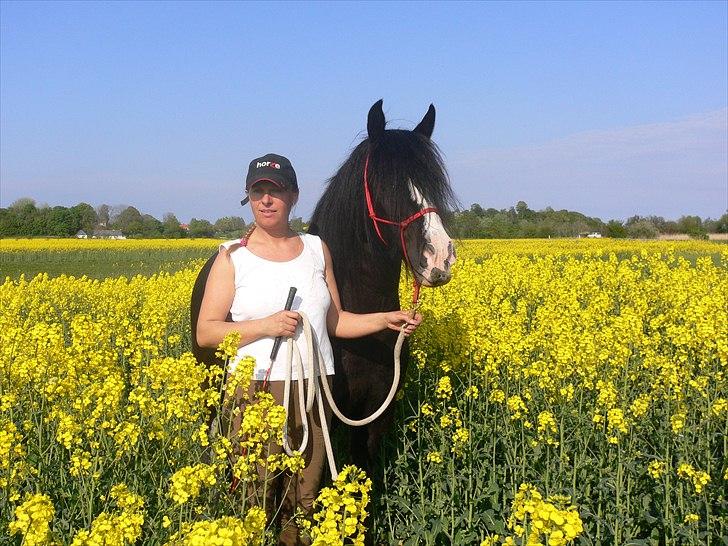 Tinker Zarmora R.i.P billede 7