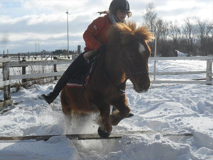 Anden særlig race Emil - Drømmen..<3 Savnet<3;D - Elsker dig min dreng .. <3 - .. Dont know if I could ever be whith out you cuz boy you complete me.. billede 12