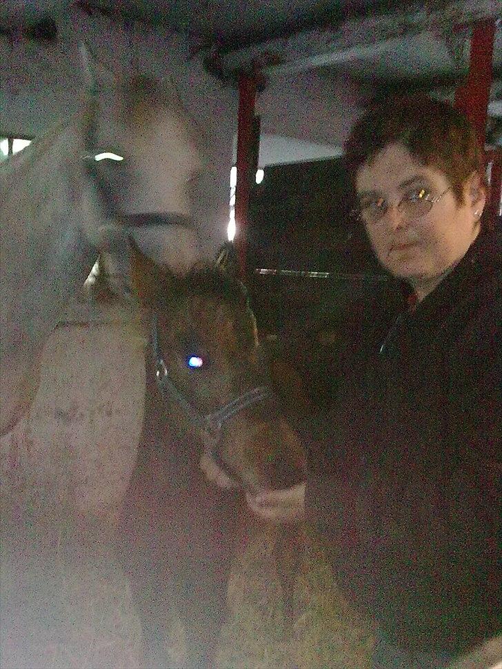 Connemara Marienhøjs Bella billede 9