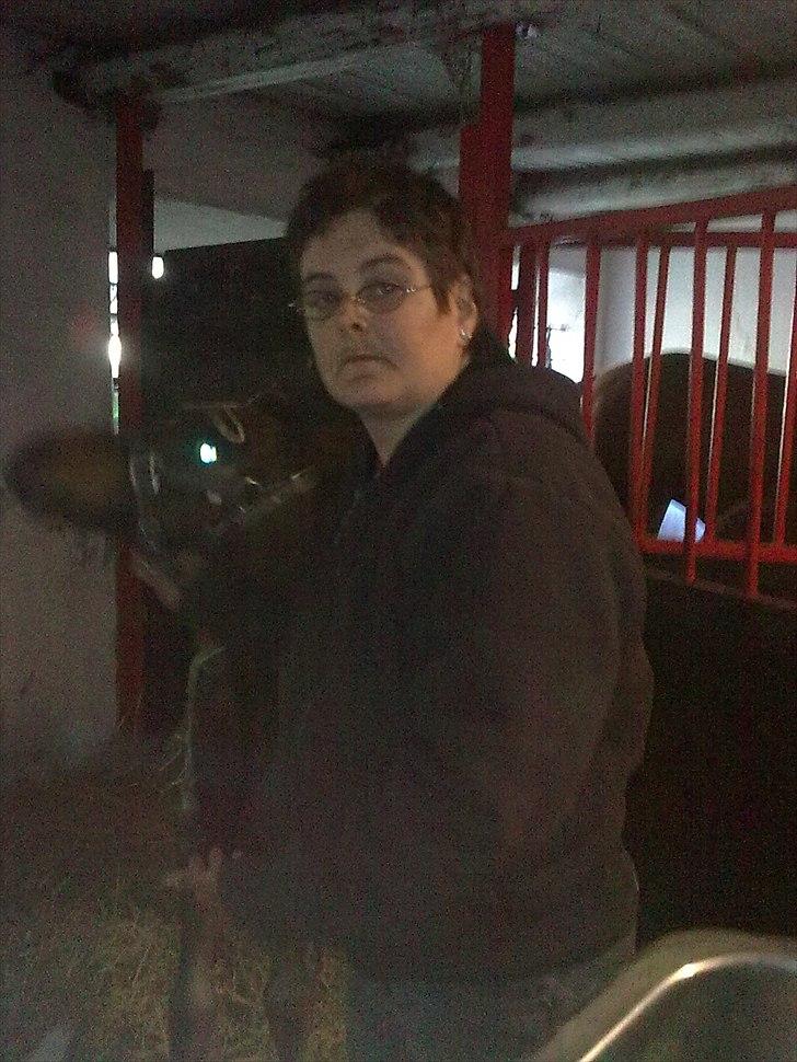 Connemara Marienhøjs Bella billede 10