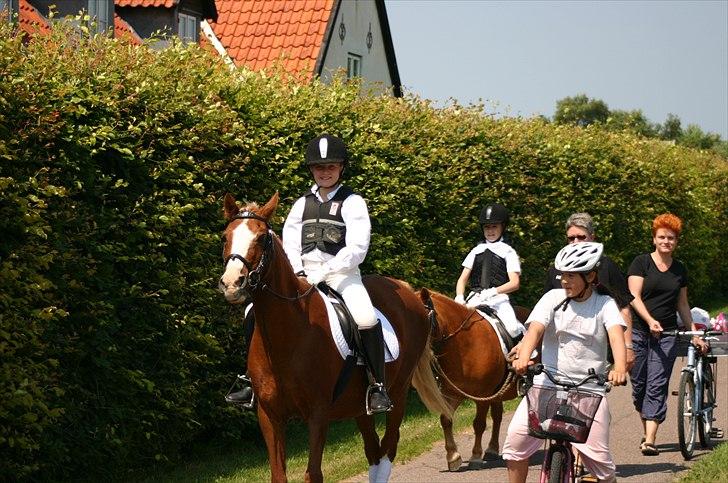Anden særlig race |Pippi*Aflivet*| - På vej til HHR-stævne hjemmebane første stævne NR.4|FOTO:Lars P.K.(FAR) billede 5
