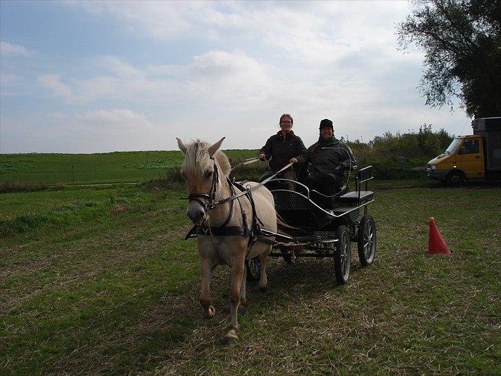 Fjordhest Jydegårdens Luna - Dejlig dag billede 18