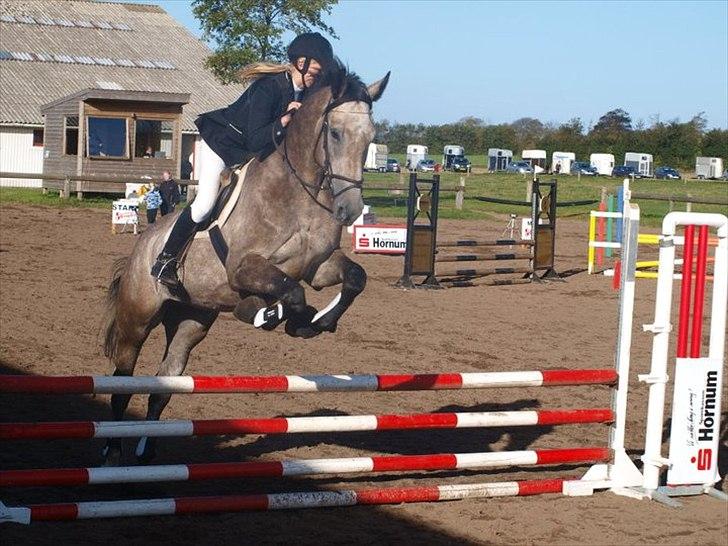 Holstener Charatu. - :) billede 14