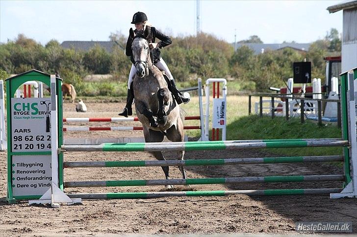 Holstener Charatu. - :) billede 16