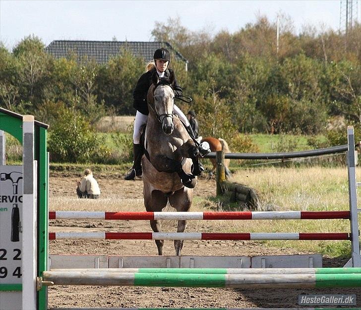 Holstener Charatu. - :) billede 19