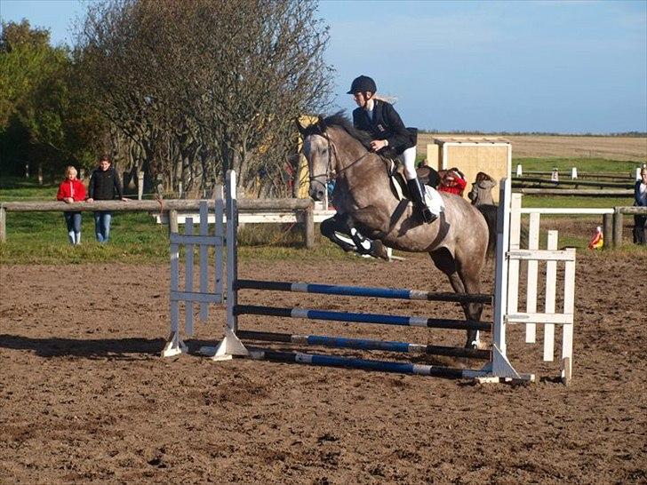 Holstener Charatu. - :) billede 20