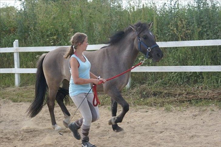 Anden særlig race Skovbjerggaards Astucia - Astucia og mig på træningslejr, blue berry hill 2010 (: trav :D billede 4