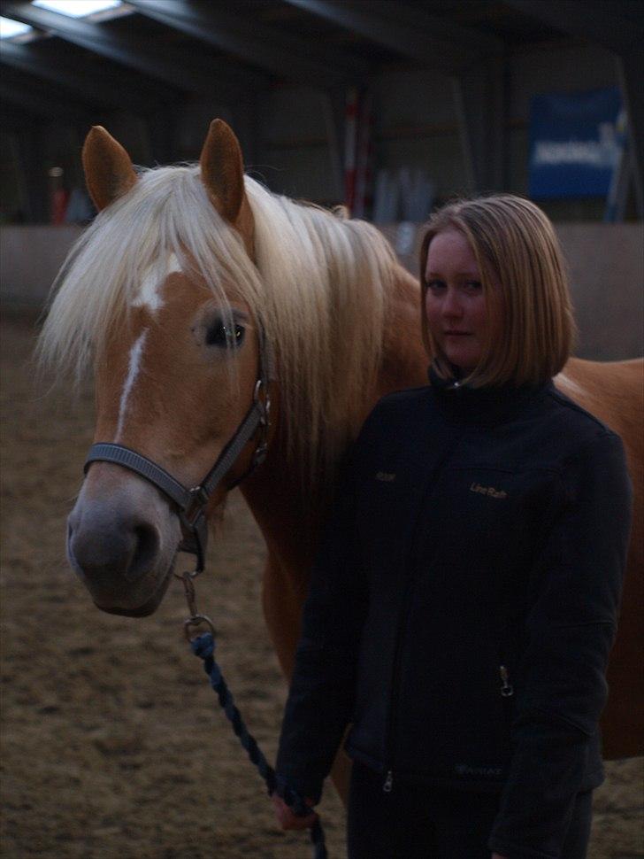 Haflinger FANNI  - Line rafn og fanni. Foto: AHR/Anne H. Rafn  billede 16