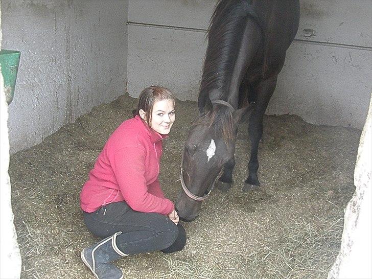 Traver precious pride billede 17