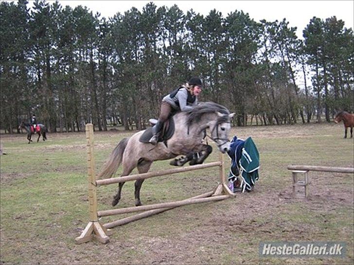 Anden særlig race Bella **SOLGT** - Spring undervisning ;D billede 10. JEG ELSKER DIG PONY! billede 9