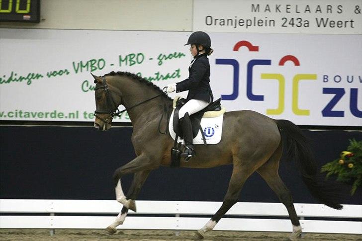 Welsh Pony (sec B) Hynder Hoeves Amon død :'( - Amonres far :) billede 20