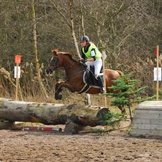 New Forest Hokus Pokus 2