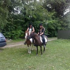 Anden særlig race Filur <3 