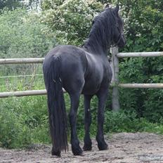 Frieser Pim de Keysergracht 