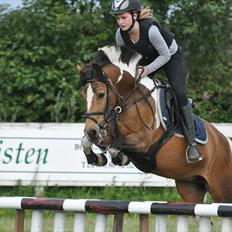 Anden særlig race Color solgt