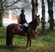 New Forest Hokus Pokus 2