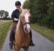 Haflinger Jackpot