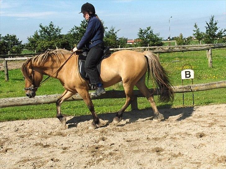 Anden særlig race fanny billede 15