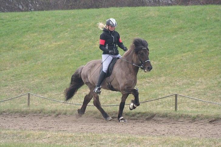 Islænder Sprettur från Magaretehof - Spret & Jeg til DSU her i 4.2 til 6,07! Foto: Vanessa Dreisig  billede 11