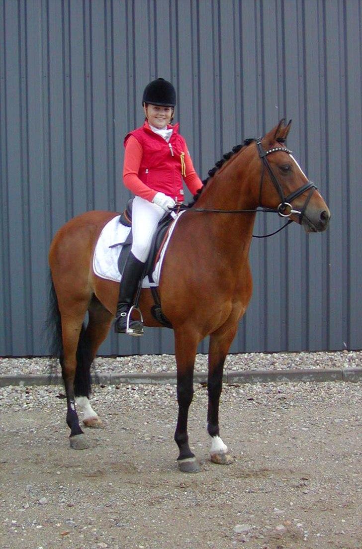 DSP Røgilds kilimanjaro SOLGT billede 9