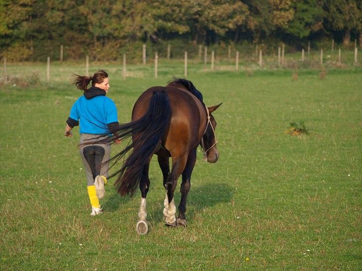 Anden særlig race Macho - Velkommen til min gamle prins´es profil!$ - Stine Krag. billede 1