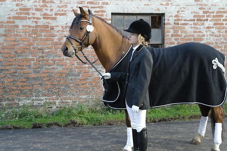 Anden særlig race Steven Seagal - Steven Seagal <33 billede 4