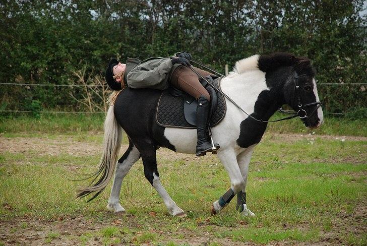 Anden særlig race Moonlight - mulledulle ! foto ~ Mie Raun :D billede 2