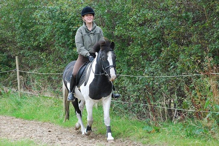 Anden særlig race Moonlight - smiiiiiil :D!  foto ~ Mie Raun :D billede 4